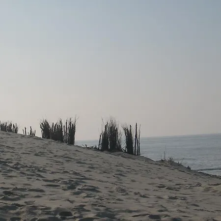 Cozy Near Oostende In * Bredene