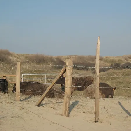 Cozy Near Oostende In * Bredene